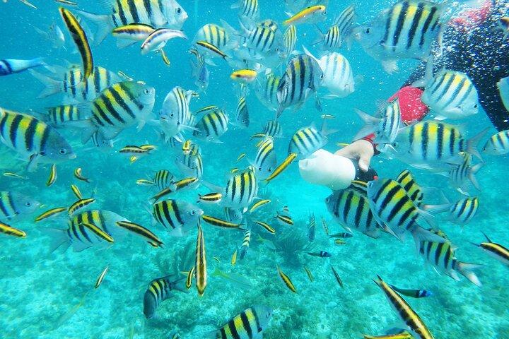 Isla Catalina All Inclusive Snorkel and Beach Day from Punta Cana