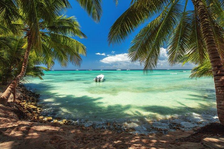 Isla Catalina All Inclusive Snorkel and Beach Day from Punta Cana