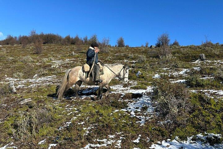 Hoteller i nærheden af Puerto Natales: Horseback Riding to Dorotea Fjord Lookout