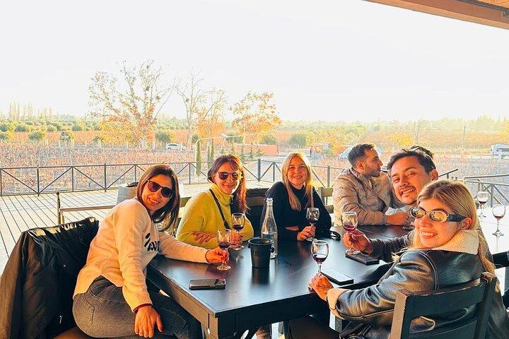 Numerose degustazioni presso 3 cantine e 1 uliveto