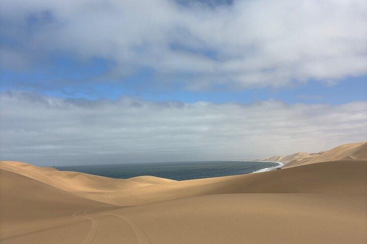 ウォルビスベイサンドイッチハーバー半日4×4ツアー