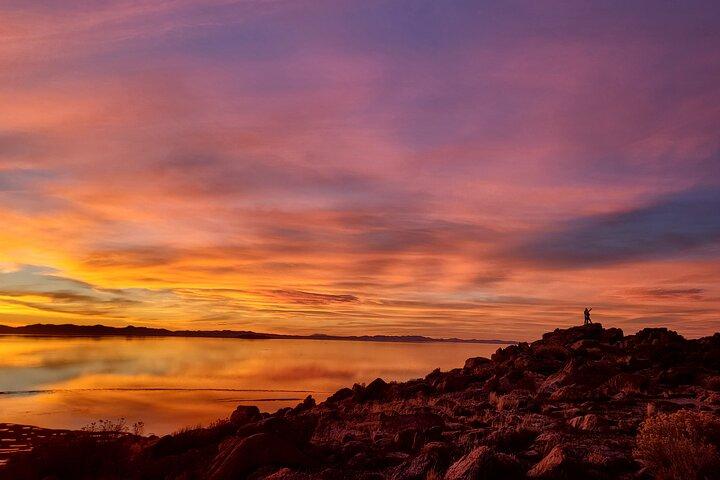 Great Salt Lake Safari - Entdecken Sie Antilopeninsel