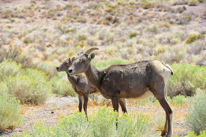 ボンネビル・ソルトフラッツの世界の端への旅