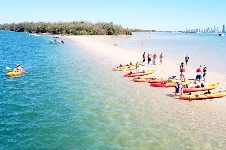 Gold Coast Kayaking & snorkling tur (2,5 timer)
