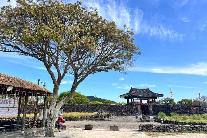 Bustour östlich der Insel Jeju ab der Stadt Seogwipo, Insel Jeju