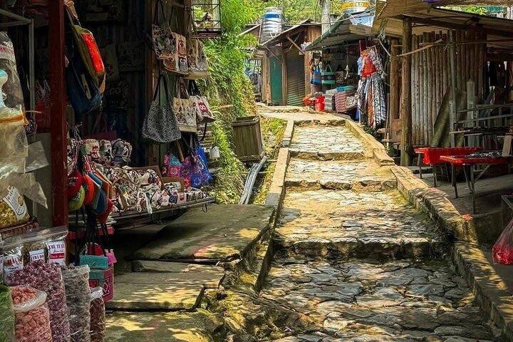 Sapa a Cat Cat Village : Paseo panorámico de medio día con guía local