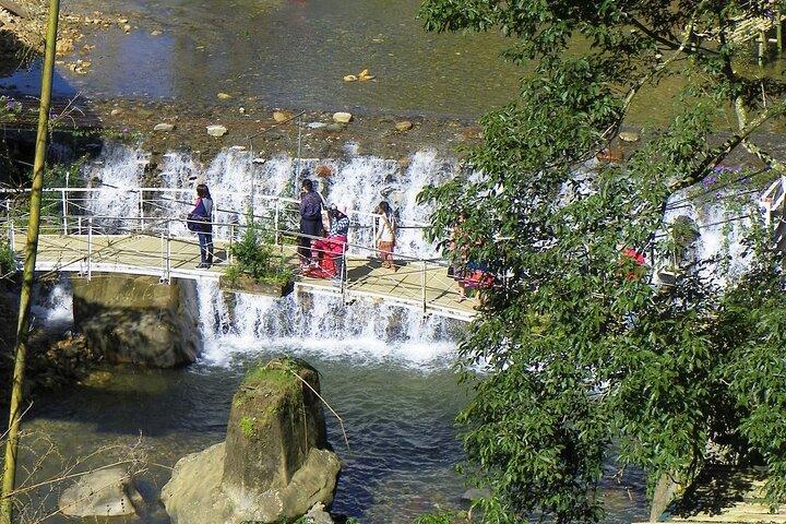 Sapa to Cat Village: passeggiata panoramica di mezza giornata con Guida locale