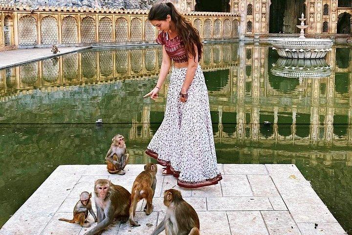 Jaipur Evening Tour with a Visit to the Monkey Temple