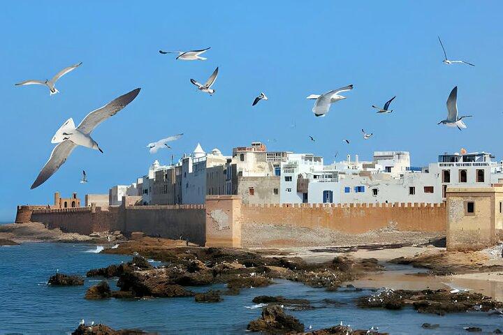 Essaouira Day Trip From Marrakech