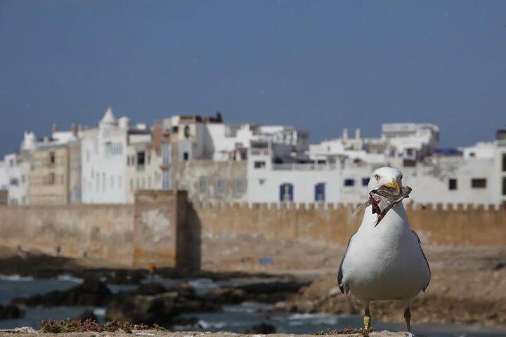 Essaouira Day Trip From Marrakech