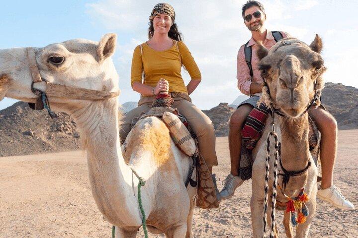 Quad met Camel Ride & Bedoeïenendorp, diner van Marsa Alam