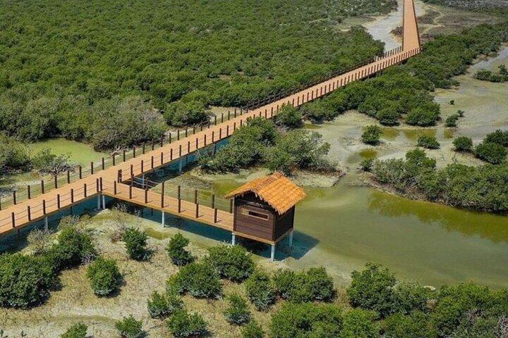 Nord-Katar-Tour : Al Zubarah Fort, Purple Island & Mangroven