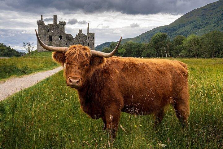 Tour privado de las Highlands, Glencoe y los castillos desde Stirling