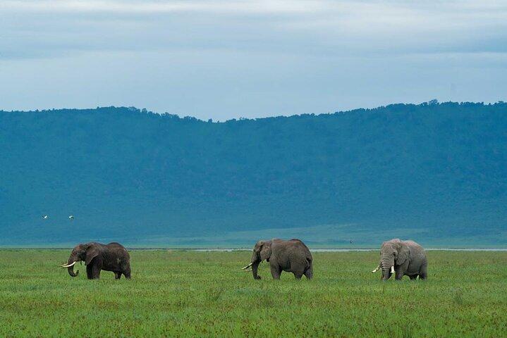 Hoteller i nærheden af Ngorongoro Crater Day Tour