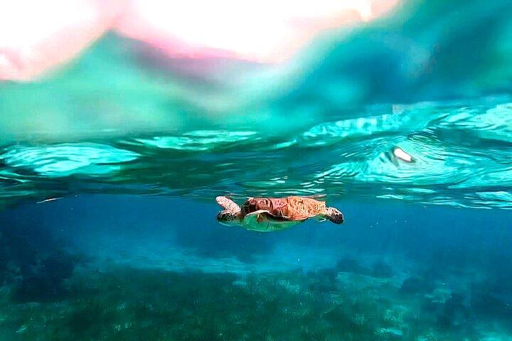 Schnorcheltour am Great Barrier Reef von Belize