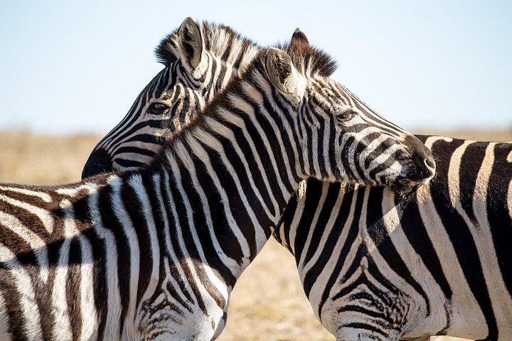 クルーガー国立公園サファリ＆パノラマルート3日間