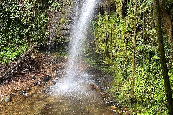 Pance Trail: Prova cascate, fauna selvatica e viste panoramiche