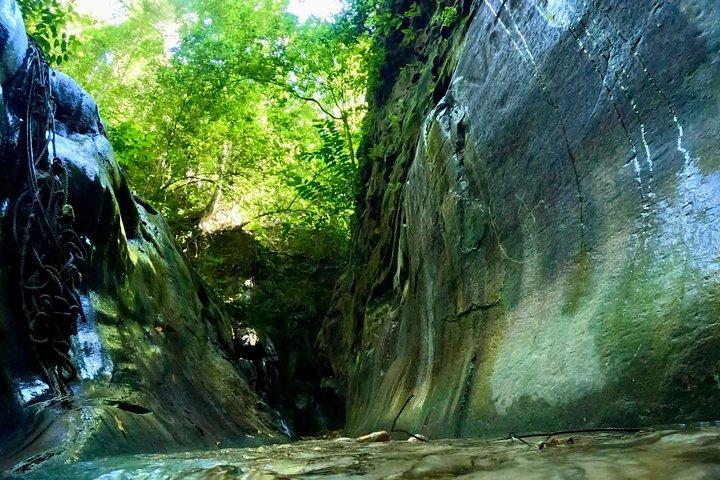 ダマハグアの滝、ジップライン、ランチと送迎付き