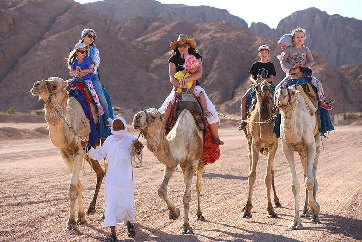 Safari do Deserto de Hurghada: Quad, Buggy, Jeep 4X4, BBQ Dinner & Show