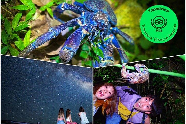 Okinawa Ishigaki Island Natt Stjärnhimmel och Djungel natttur