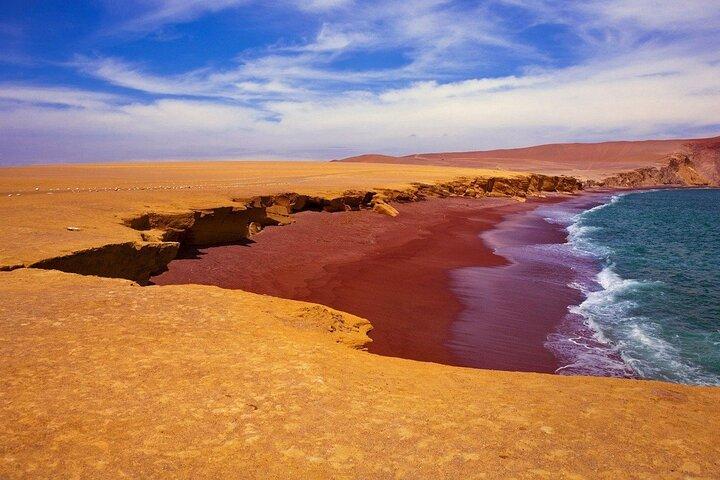 Paracas de trekking premium