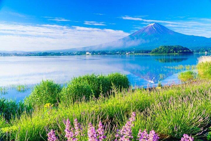 Osaka till Tokyo Flerdagarstur