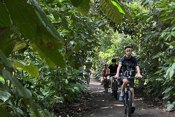 キンタマーニダウンヒルサイクリング