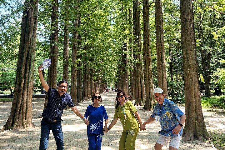 [ Journée complète ] Nami Island & Petit France De Séoul