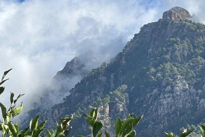Soller Valley Walk with Orange Farm Visit