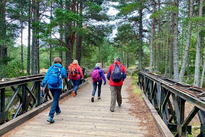 Tour a piedi delle Highlands scozzesi per piccoli gruppi da Edimburgo