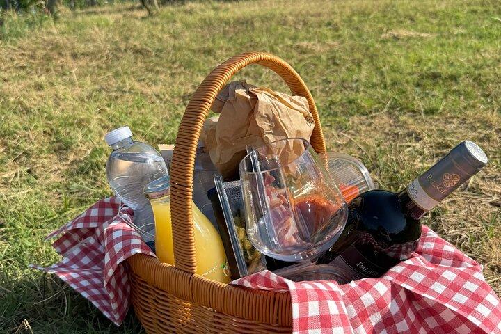 Picknick tussen de rijen Vernaccia di San Gimignano-wijnstokken