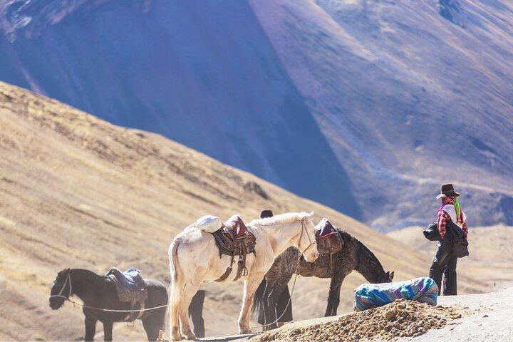 Vinicunca Rainbow Mountain Day Trip from Cusco