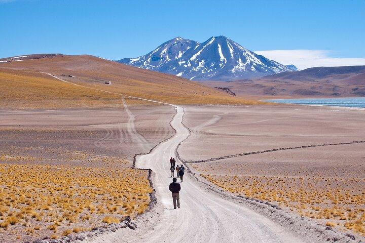 Tour de dia inteiro em Piedras Rojas Atacama inclui ticket