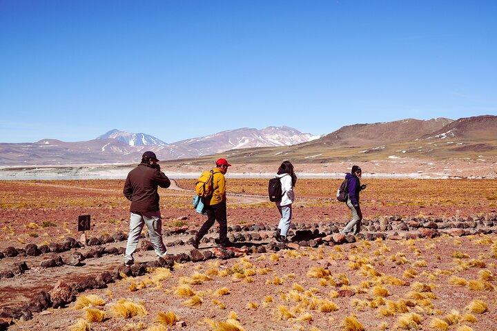 Tour de dia inteiro em Piedras Rojas Atacama inclui ticket