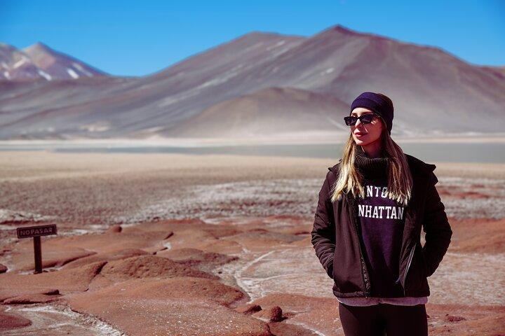 Tour de dia inteiro em Piedras Rojas Atacama inclui ticket
