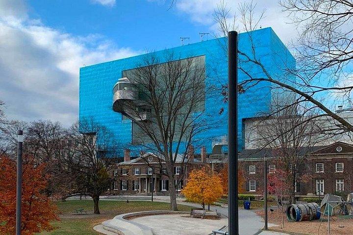 Toronto Highlights Walking Tour with a Local