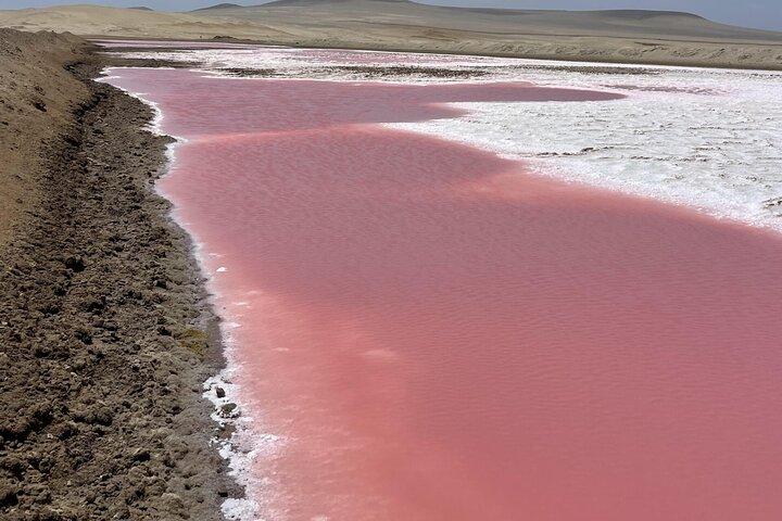Ballestas-eilandentour en premium trekking met Pink Lagoon