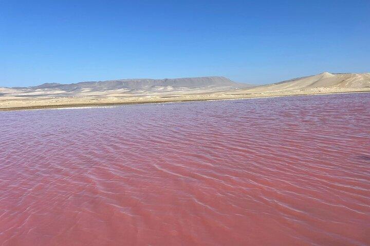 Paracas de trekking premium