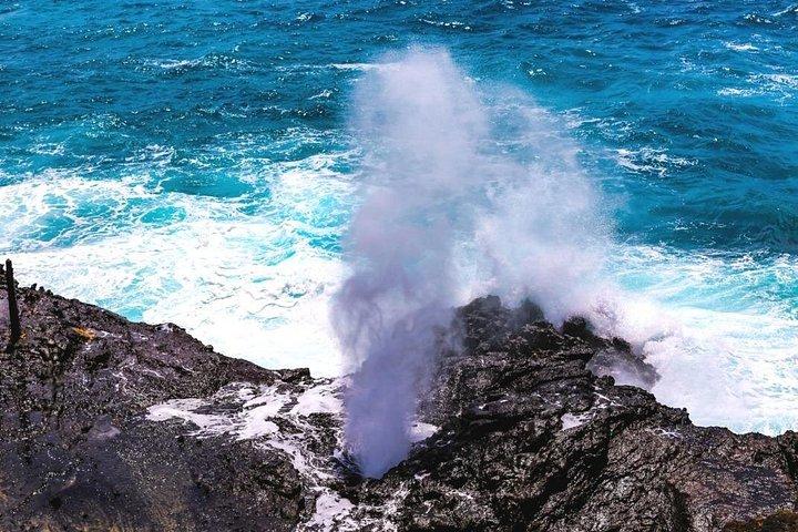 オアフ島プライベートツアー-メルセデススプリンターまたはプレミアムミニバン