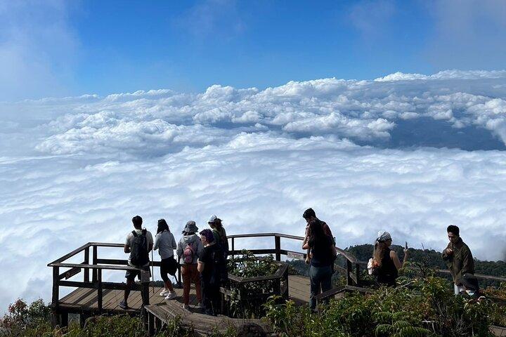 Doi Inthanon National Park + 2 timers fantastisk vandreture med frokost