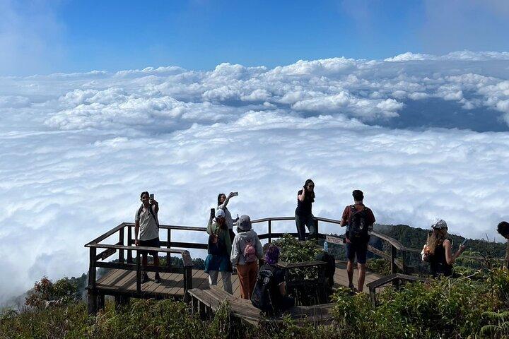 Fantastisk! Berømt Doi Inthanon Nationalpark-tur med 2 timers trekking
