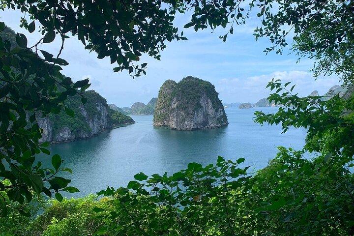 Vanuit Hanoi : Buiten de gebaande paden Bai Tu Long Bay Scenic Cruise