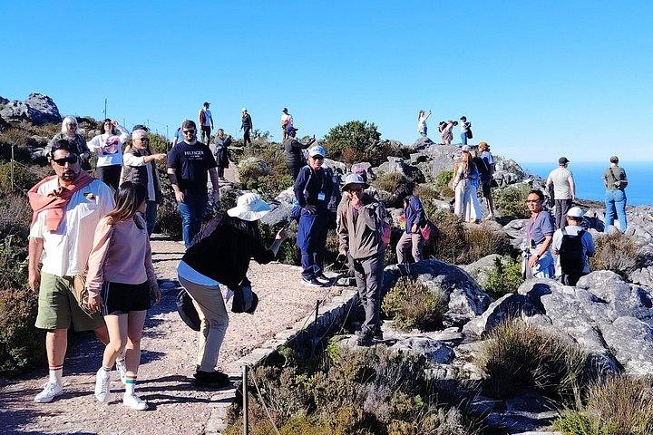 Table Mountain Fast Track Tickets Plus Cape Town City Tour