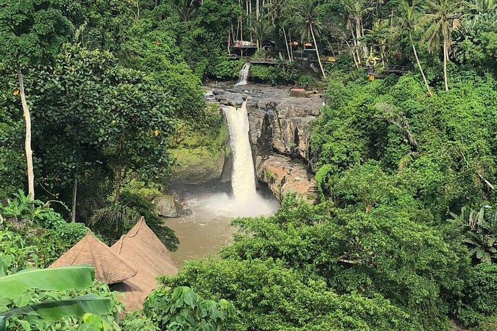 Tour guidato privato della migliore giornata di Ubud
