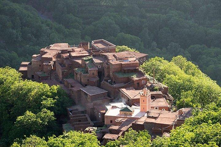 Lunch with a Panoramic View of the Atlas Mountains