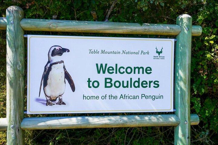 Kap der Guten Hoffnung und Boulder Pinguine Ganztagestour