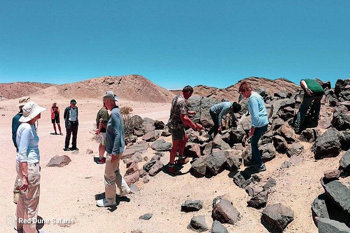 海岸小旅行-フラミンゴ、砂丘7、ウェルウィッチア、スワコプムンド。