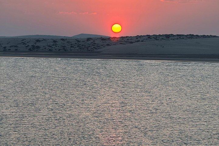 Doha Night Desert Safari com Camel Ride & Dune Bashing