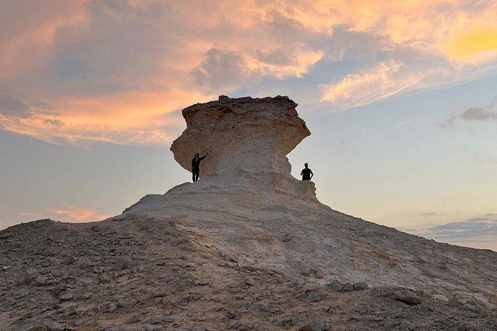 Doha Night Desert Safari com Camel Ride & Dune Bashing