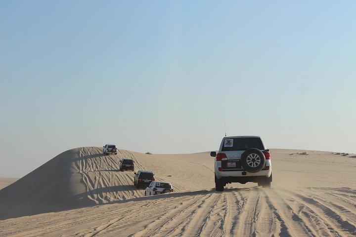 Doha Night Desert Safari com Camel Ride & Dune Bashing